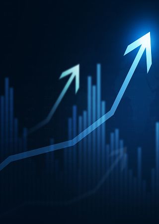 Stock Overview